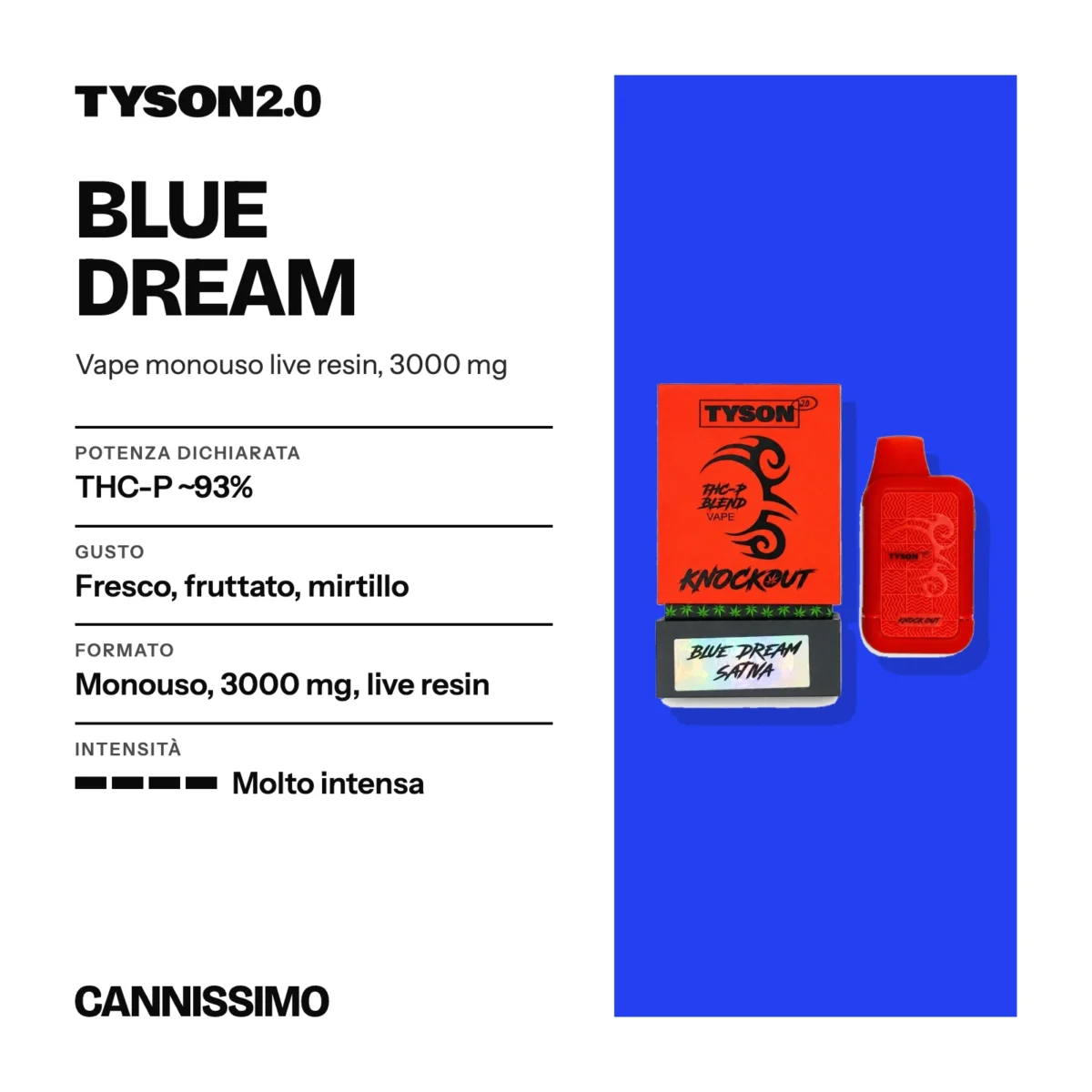 Scheda di Blue Dream, Tyson. Potenza dichiarata THC-P ~93%; gusto fresco, fruttato, mirtillo; formato monouso, 3000 mg, live resin; intensità molto intensa.