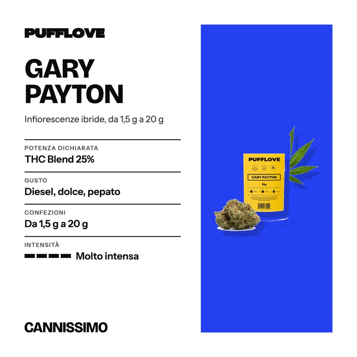 Scheda di Gary Payton, PUFFLOVE. Potenza dichiarata THC Blend 25%; gusto diesel, dolce, pepato; confezioni da 1,5 g a 20 g; intensità molto intensa.