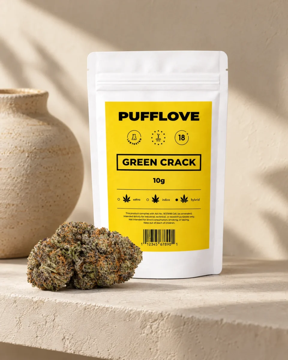 Green Crack, busta PUFFLOVE con le infiorescenze su una mensola in calce