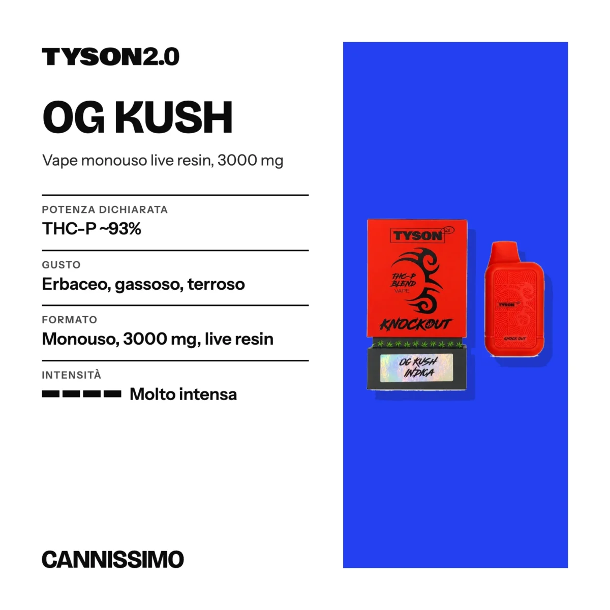 Scheda di OG Kush, Tyson. Potenza dichiarata THC-P ~93%; gusto erbaceo, gassoso, terroso; formato monouso, 3000 mg, live resin; intensità molto intensa.
