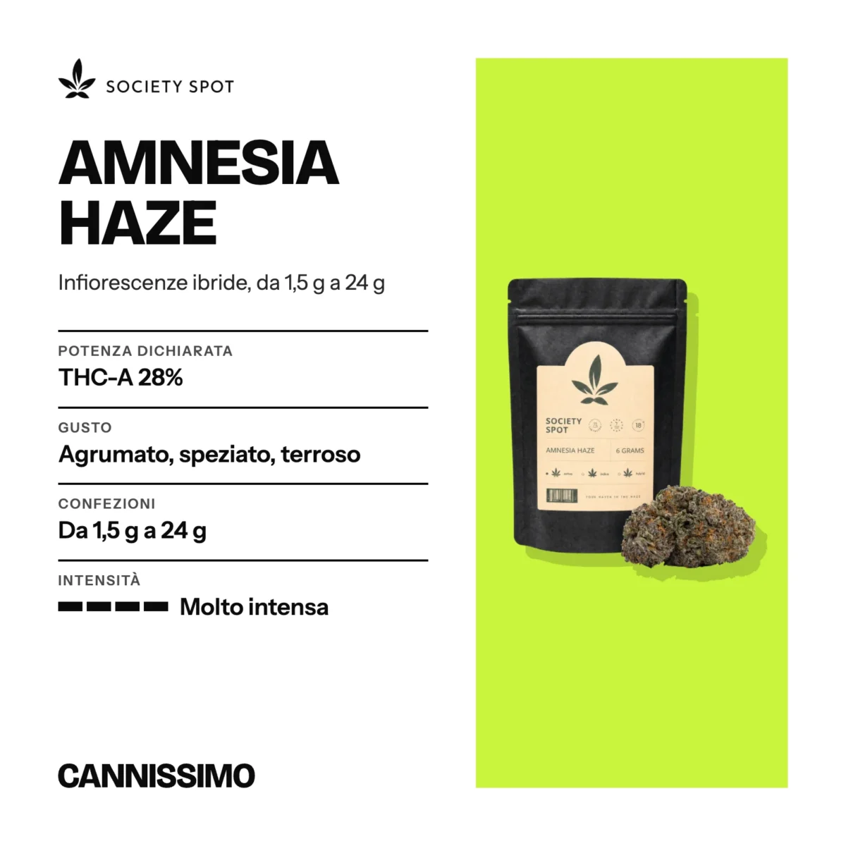 Scheda di Amnesia Haze, Society Spot. Potenza dichiarata THC-A 28%; gusto agrumato, speziato, terroso; confezioni da 1,5 g a 24 g; intensità molto intensa.