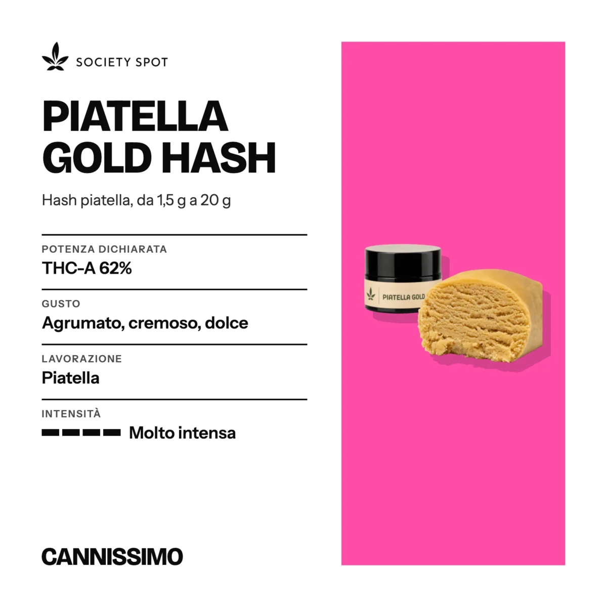 Scheda di Piatella Gold Hash, Society Spot. Potenza dichiarata THC-A 62%; gusto agrumato, cremoso, dolce; lavorazione piatella; intensità molto intensa.