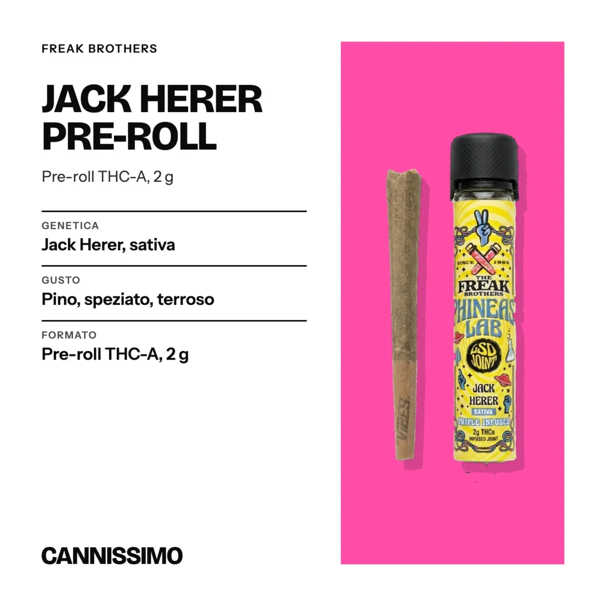 Scheda di Jack Herer Pre-roll, Freak Brothers. Genetica jack Herer, sativa; gusto pino, speziato, terroso; formato pre-roll THC-A, 2 g.