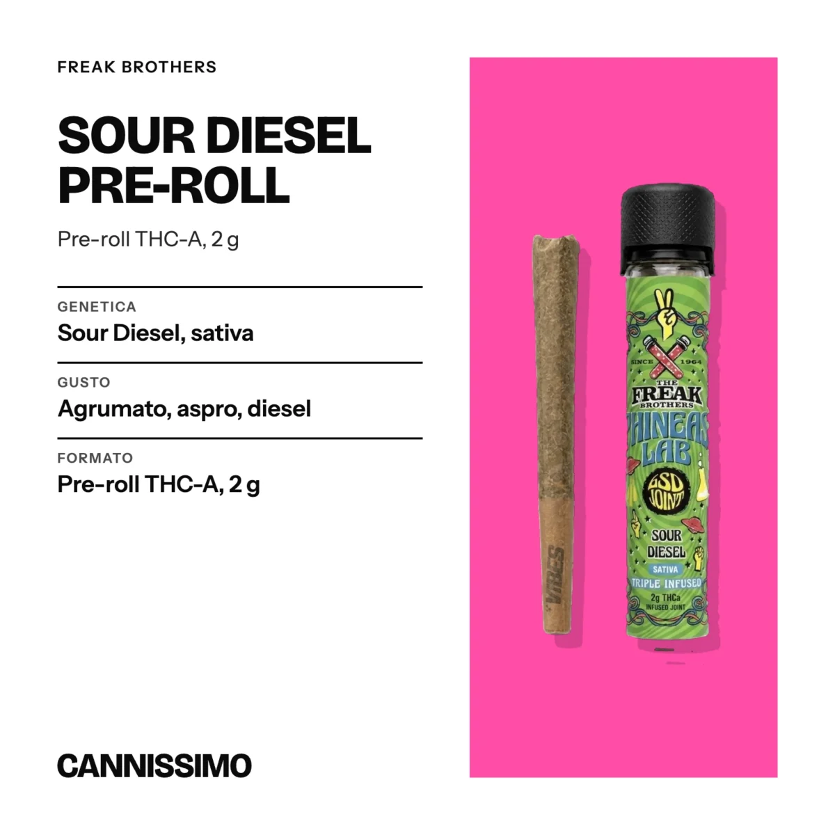 Scheda di Sour Diesel Pre-roll, Freak Brothers. Genetica sour Diesel, sativa; gusto agrumato, aspro, diesel; formato pre-roll THC-A, 2 g.
